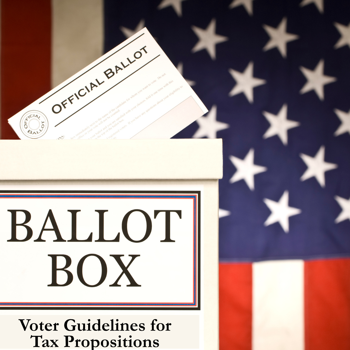 voter guidelines for tax provisions